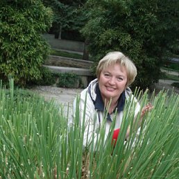 �����, �����������, 63 ����