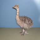 ��������� �� ������� ���� ����������