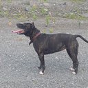 ���� &deg;&bull;*������&deg;&bull;*, ����������, 23 ���� - ��������� 15 ��� 2010 � ������ ���� ��������