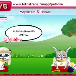 ���� �����, �������, 29 ��� - ��������� 6 ������ 2010