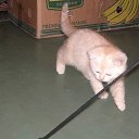 ���� N@tasha, ����������� - ��������� 11 ������� 2009 � ������ ������� ������� � ����