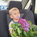 ���� ����� ���������� (��������), ������������, 56 ��� - ��������� 3 ������ 2012 � ������ �������