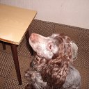 ���� Aleksandr, ���������, 46 ��� - ��������� 8 ������ 2010 � ������ �������