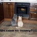 ���� �������, �����, 39 ��� - ��������� 2 ������ 2009 � ������ ��������� �����