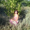 ���� �����, ��������� - ��������� 7 ���� 2013 � ������ ���� ����������