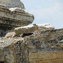 ���� �����, ������ - ��������� 24 ���� 2011 � ������ �2011�