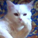 ���� ������, �����-���������, 64 ���� - ��������� 17 ������ 2010 � ������ �������