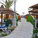 ���� ������, ������ - ��������� 20 ���� 2012 � ������ �������