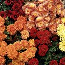 ���� ����� - ���������� ��������!!!, �����������, 56 ��� - ��������� 4 ������ 2010 � ������ �����ۻ