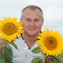 ���� ��������� ��������, ������, 56 ��� - ��������� 22 ������ 2013