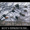 ���� �������, ������, 39 ��� - ��������� 23 ������� 2010 � ������ ��������������