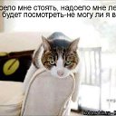  Dariya, , 41  -  16  2010   