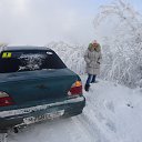 ���� �������, �����, 43 ���� - ��������� 27 ������ 2013 � ������ ���� ����������