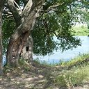  , , 69  -  29  2013    ...