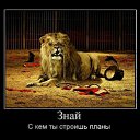 ���� �������� �������, �����������, 73 ���� - ��������� 19 ������� 2011 � ������ ���� ����������