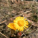 ���� �������, ���������, 52 ���� - ��������� 21 ������ 2012 � ������ ��������!�