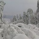     .      .       (    )