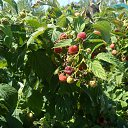 ���� �������, ��������� - ��������� 16 ������� 2012 � ������ ����� ��������