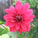 ���� �������, ������, 60 ��� - ��������� 2 ������� 2011 � ������ �������