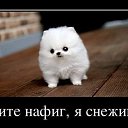  Kitty,  -  10  2012   
