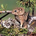 ���� ����� - ���������� ��������!!!, �����������, 56 ��� - ��������� 4 ������� 2009 � ������ �������ϻ