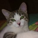 ���� �����, �����-���������, 53 ���� - ��������� 30 ��� 2012 � ������ ���� ����������