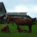 ���� �����, ���������, 60 ��� - ��������� 11 ������� 2012 � ������ �������