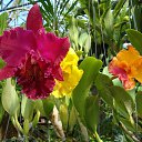 ���� ������, ��������, 41 ��� - ��������� 30 ������� 2010 � ������ �������