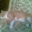 ���� �����, �����-���������, 44 ���� - ��������� 6 ������ 2012