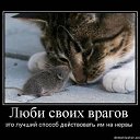 ���� �����, �������, 46 ��� - ��������� 6 ������ 2012 � ������ �������