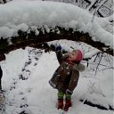  , , 71  -  11  2012     . 2.5 .