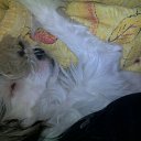 �� �� ������...)) �� ������� ���� �������)�