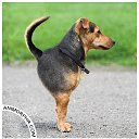  ++, , 55  -  16  2013    