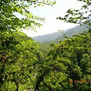 ���� �������, ����, 46 ��� - ��������� 1 ��� 2012 � ������ ����������� �������-�.����-�������� �������