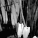 ���� ��������, �����������, 65 ��� - ��������� 14 ����� 2013