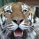  Hjvf, , 56  -  19  2010   