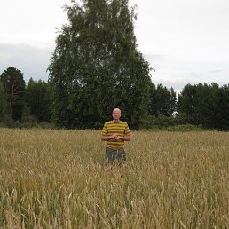 ���� ���������, ���������, 54 ���� - ��������� 25 ������ 2013