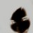  Silenc, , 39  -  10  2012