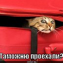 ���� �����, �������, 56 ��� - ��������� 10 ���� 2011 � ������ �����