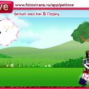  Melena, , 38  -  10  2010   PetLove