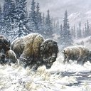 ���� ����� - ���������� ��������!!!, �����������, 56 ��� - ��������� 20 ������� 2009 � ������ ���������� �������Ż