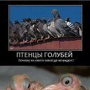 ���� ������, ������������, 46 ��� - ��������� 12 ���� 2012 � ������ ���� ����������