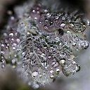 ���� �����, ������, 26 ��� - ��������� 11 �������� 2010 � ������ �����