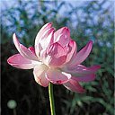 ���� ����. ��������� �� ��!, ������, 72 ���� - ��������� 30 ������ 2011 � ������ ����� � �����