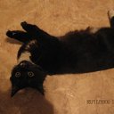 ���� ���������, ������ ��������, 46 ��� - ��������� 26 ������ 2009 � ������ ���� ��������: ��������