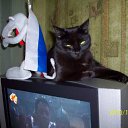 ���� �����, ���������, 50 ��� - ��������� 30 ������ 2012