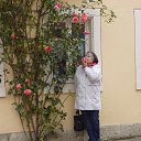 ���������-��-�������, �������. 2012 �. �� ������� ���� ����������