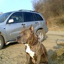 ���� Czxv Zxvc �����, �����������, 57 ��� - ��������� 20 ��� 2011 � ������ �������