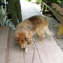 ���� ������, ����-�������, 41 ��� - ��������� 4 ������� 2010 � ������ ���� ��������