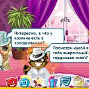 ���� ����, ����, 78 ��� - ��������� 4 ������ 2011 � ������ ��������� � ������